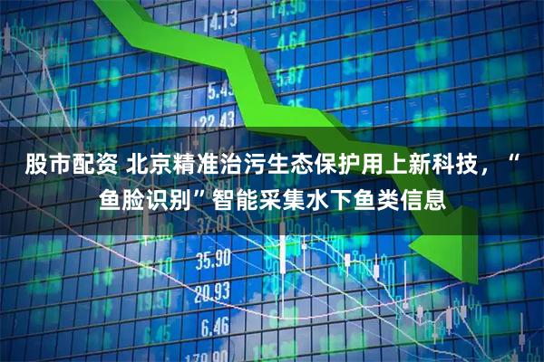 股市配资 北京精准治污生态保护用上新科技，“鱼脸识别”智能采集水下鱼类信息